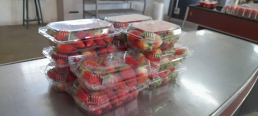 Fresh Strawberries — Punnet Packed